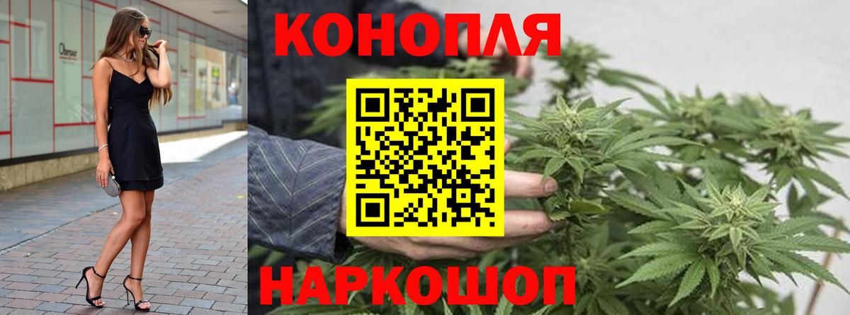 Конопля индика  Вход с VPN  Канабис Amnesia  Курчалой  Марихуана Bruce Banner 